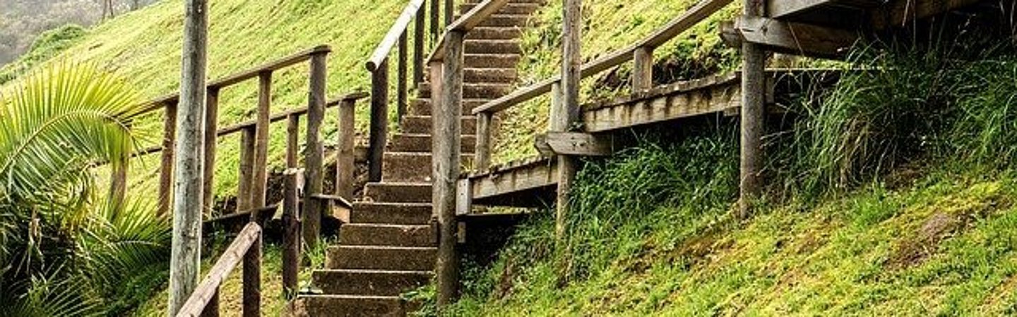 Eine hölzerne Treppe führt einen grasbewachsenen Hügel hinauf. Das Gelände ist sanft geneigt, und ein Geländer begleitet die Treppe. Der Himmel ist nicht sichtbar, was die Aufmerksamkeit auf den Weg lenkt.