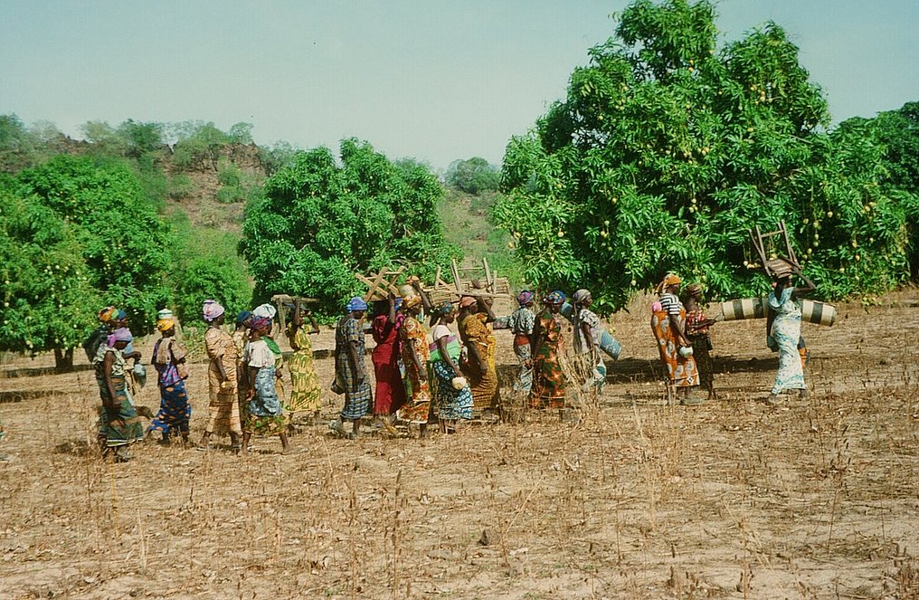Eine Landfrauengruppe im Süden des Tschad auf dem Weg zu einem ihrer regelmäßigen Treffen.
