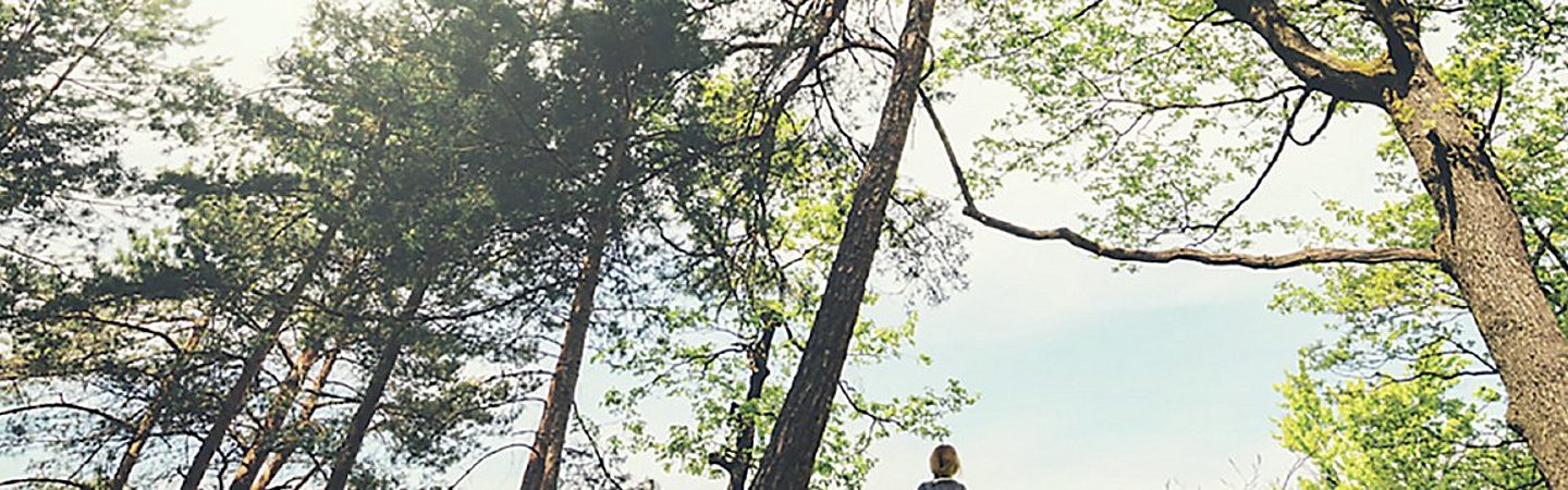Person, die auf einer Bank in einem sonnendurchfluteten Wald sitzt und die Natur genießt.