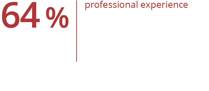 Graphic representation: 64% possess significant professional experience.