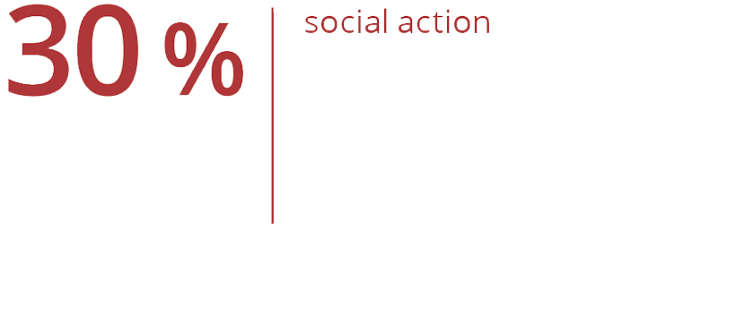 Graphic representation: 30% highlight involvement in social action.