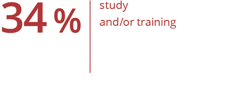 Graphic representation: 34% highlight study and/or training background.