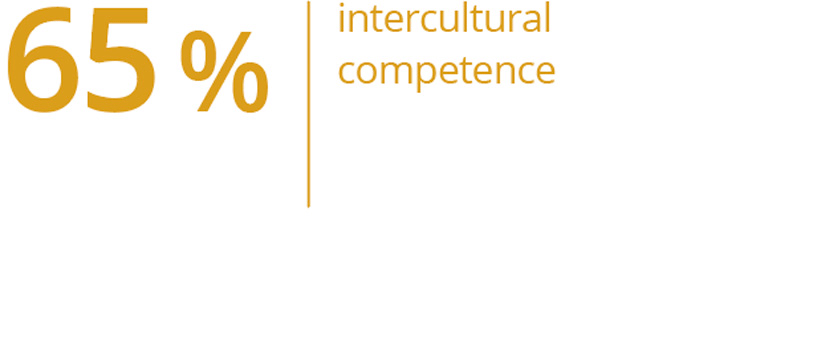 Graphic representation: 65% demonstrate intercultural competence.
